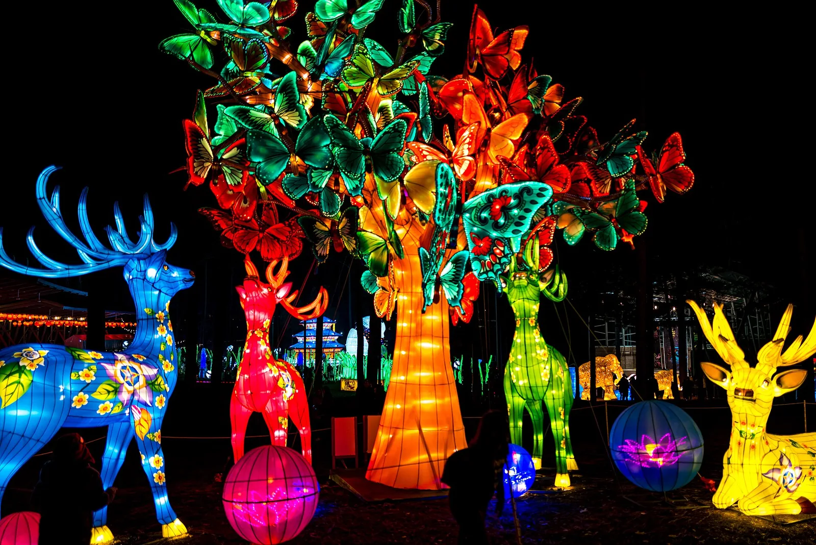 Lit deer and butterfly-tree lanterns at the North Carolina Chinese Lantern Festival at Koka Booth Amphitheatre in Cary.