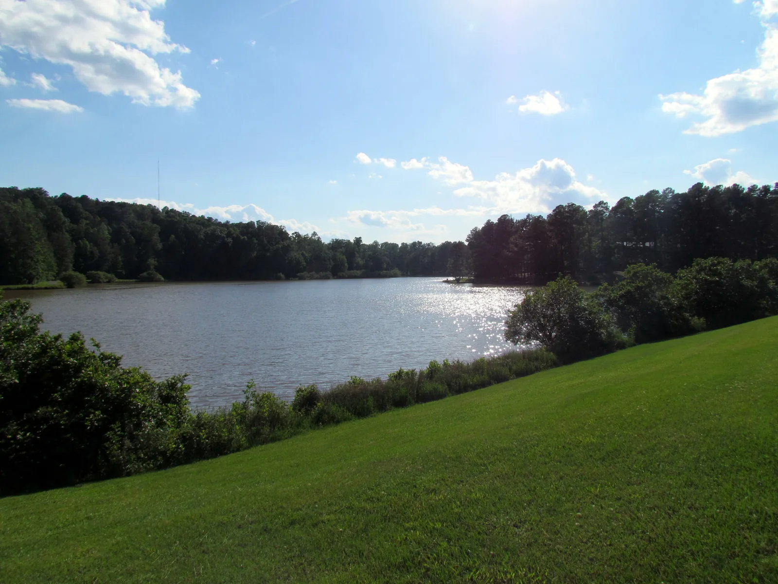 The lake beside the Regency Park Greenway in Cary, a popular route for leashed dog walks.