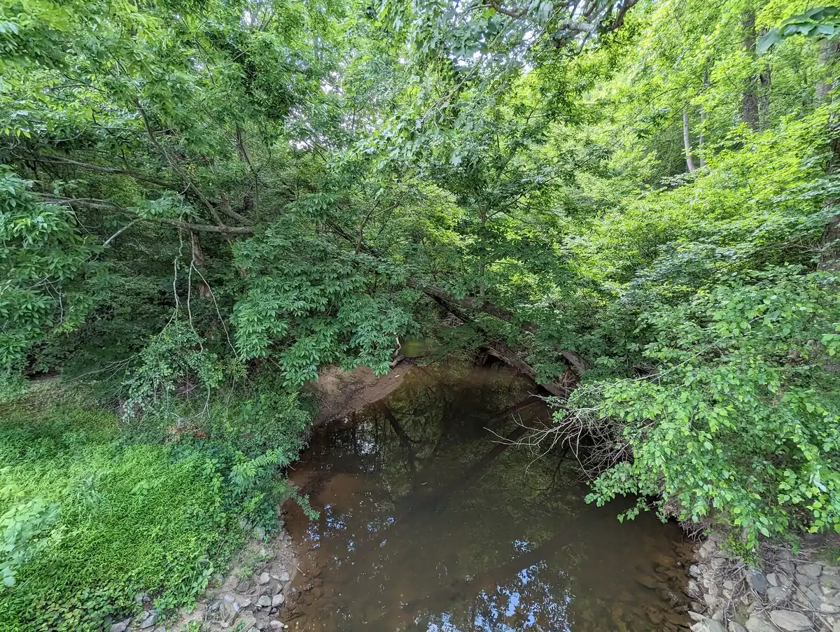 A creek under beech trees on the trail from Lochmere into the Swift Creek Bluffs Nature Preserve in Cary