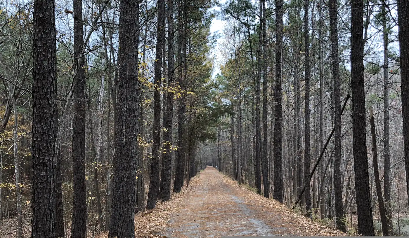 The American Tobacco Trail near the White Oak Church Road parking area in western Wake County.